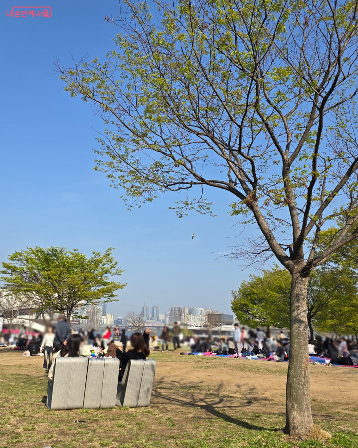 여의도 한강공원에서 봄을 즐기는 시민들 ©박진영