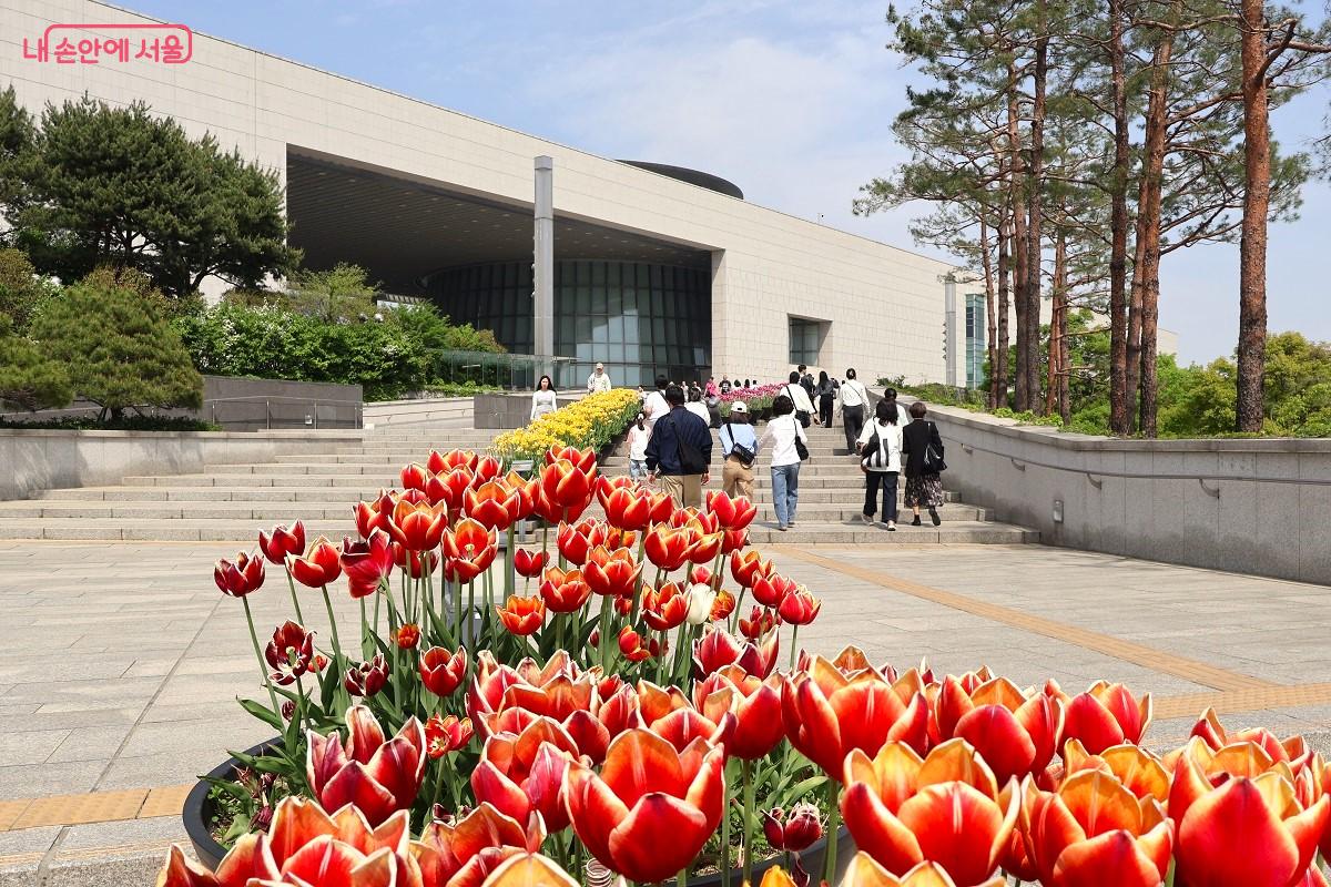 글로벌 문화 랜드마크인 국립중앙박물관의 화사한 입구 전경 &copy;김대진