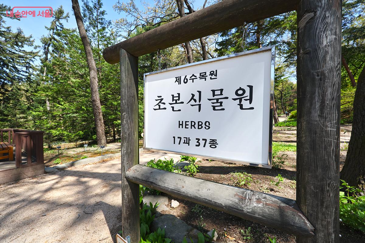 다양한 초본 식물들을 감상할 수 있는 초본식물원 &copy;김주연