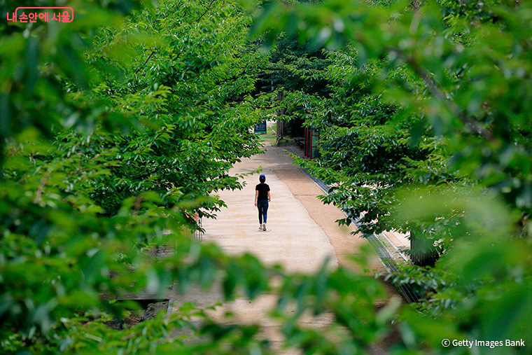 정원은 사람에게 말을 걸지 않는다. 다만 오늘은 잠깐 멈춰도 괜찮다고 조용히 알려준다.