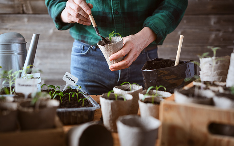 허브 향 가득~ 서울숲 '매력텃밭정원' 체험하세요! 선착순 모집