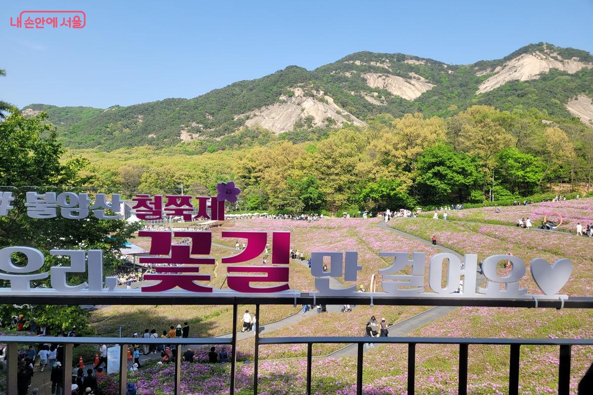 불암산 철쭉동산 전경 꽃길만 걸어요 포토존 철쭉 만개 풍경