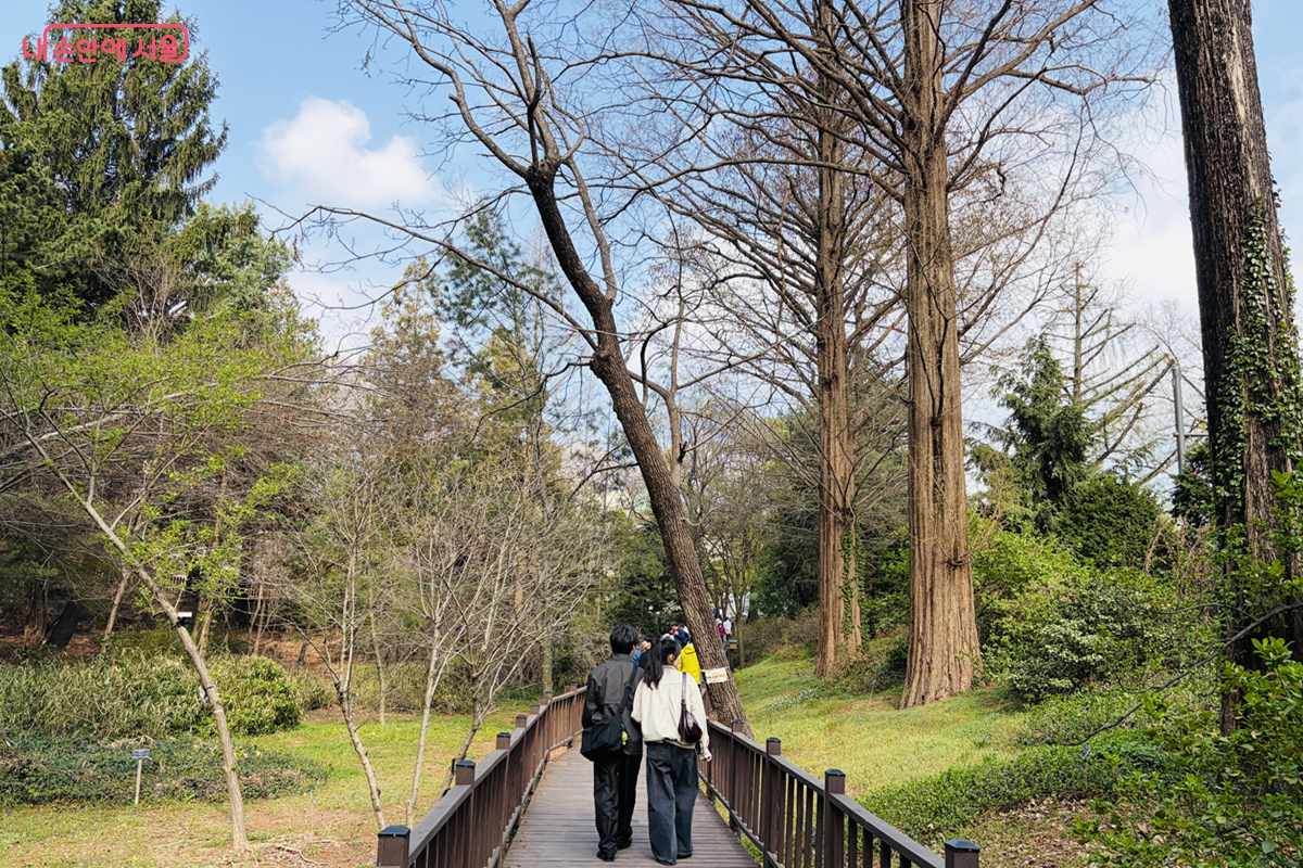 조용하게 홍릉숲을 산책하는 시민들 &copy;김경선