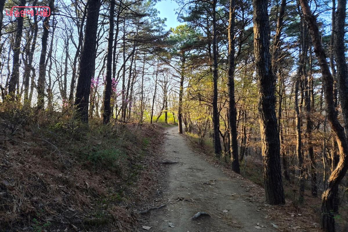 완만한 산길을 따라 이어지는 서울둘레길 12코스 &copy;최현우