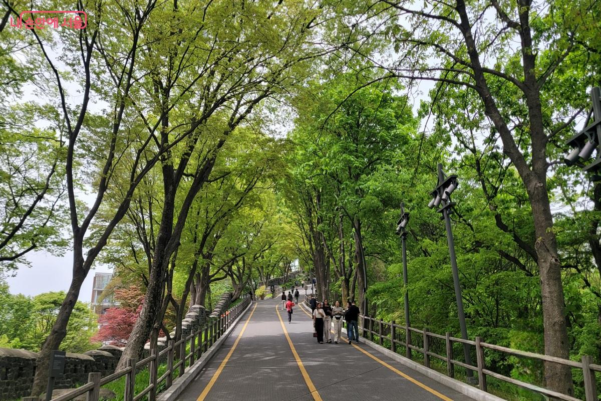 도심 속 자연과 함께하는 서울 도보 여행의 매력을 느낄 수 있다.  &copy;조연