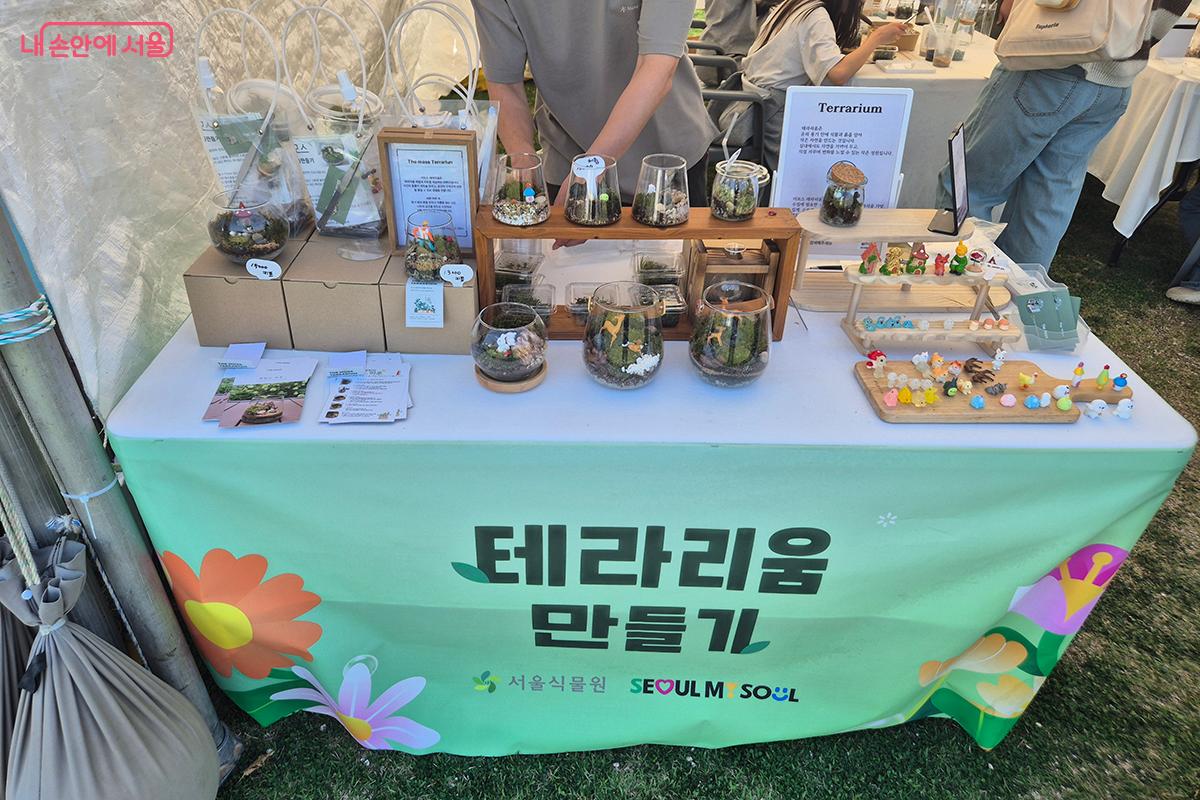 유리병 안에 작은 지구 생태계를 조성하는 &lsquo;테라리움&rsquo; 만들기 &copy;이혜숙