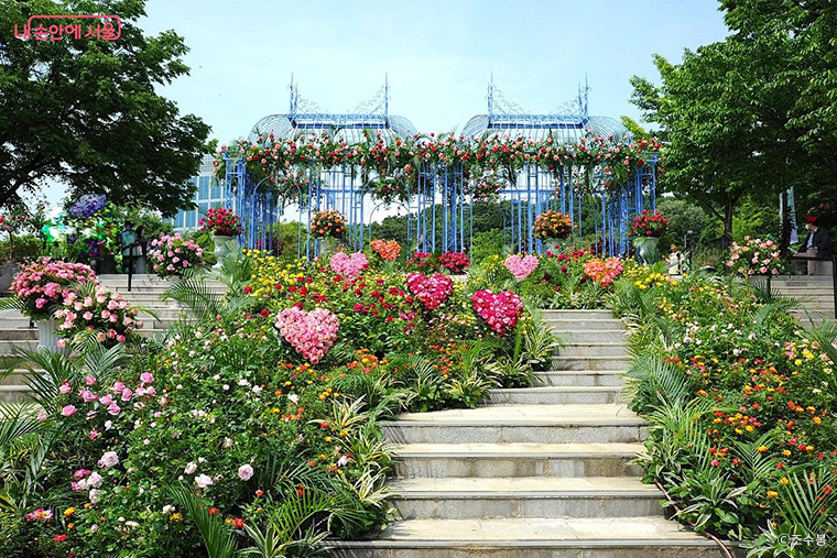 2025 서울국제정원박람회가 개최된 보라매공원 