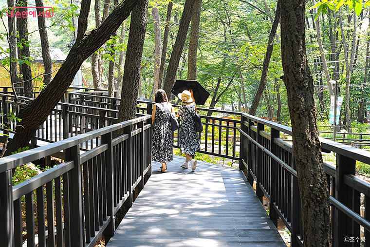 정원의 힘은 무엇보다도 부담이 적다는 데 있다. 사진은 수락산 동막골 무장애 숲길