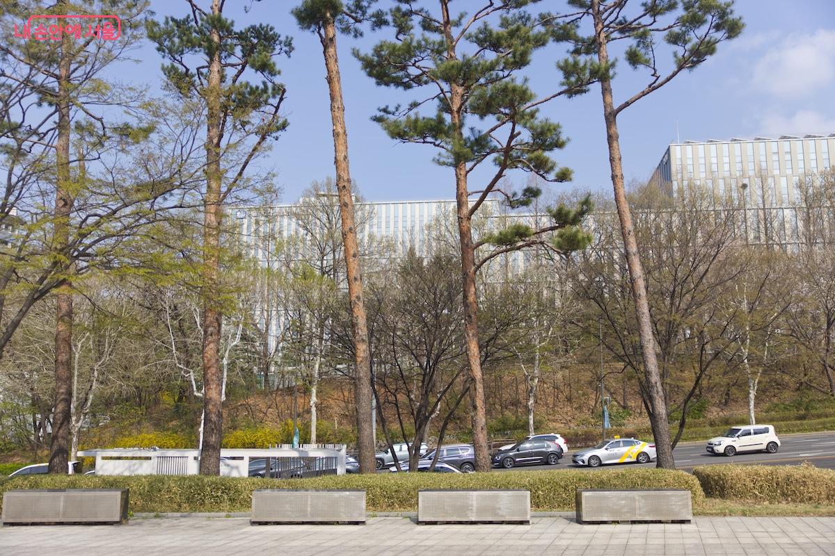 지난 주 날씨를 보면서 처음으로 국립중앙도서관을 방문해봤다.