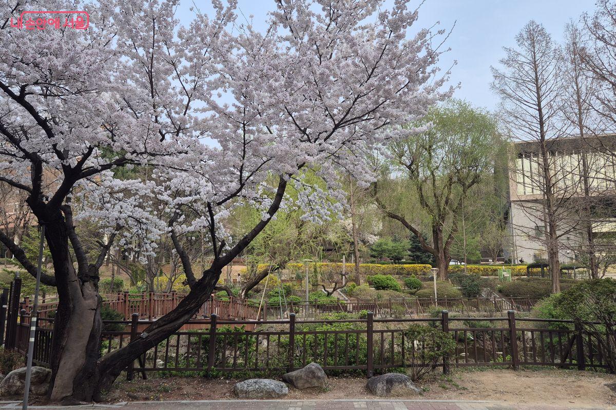 봄을 물씬 느낄 수 있는 연못 주변 풍경