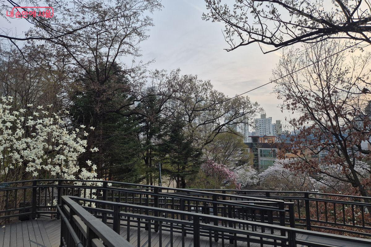 배봉산 무장애 데크길