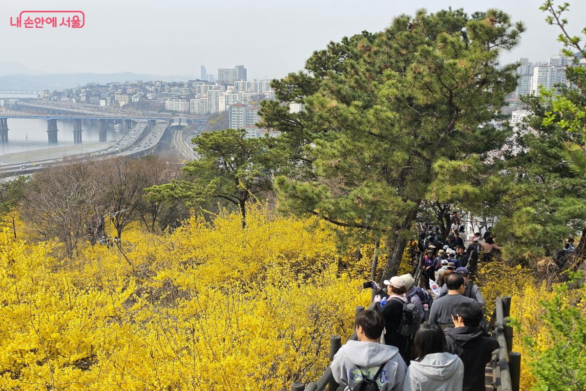 응봉산과 한강.ⓒ조송연