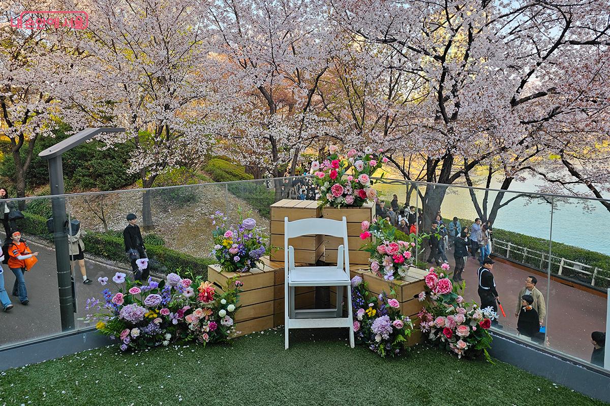 설치미술 작품이 석촌호수의 벚꽃과 조화를 이룬다. &copy;이혜숙