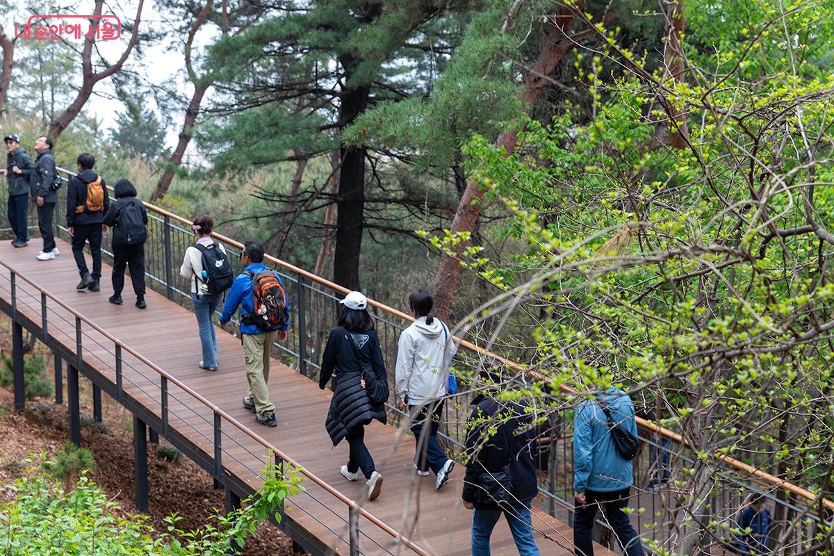 지금 걷기 딱 좋은 남산 하늘숲길 ⓒ문청야