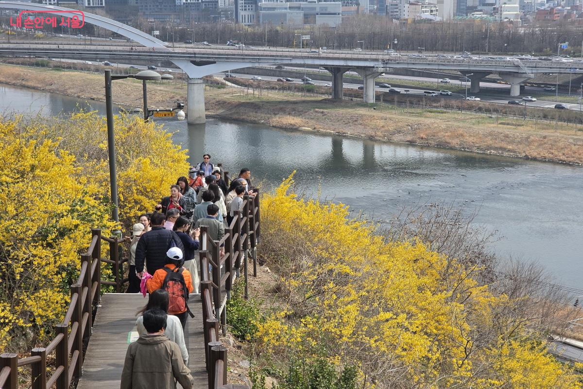 응봉산을 오르내리는 시민들 ⓒ조송연