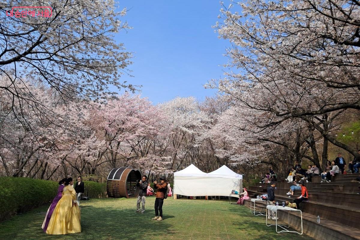 벚꽃 터널 아래에서 소중한 추억을 담고 있는 방문객들 ©장형진