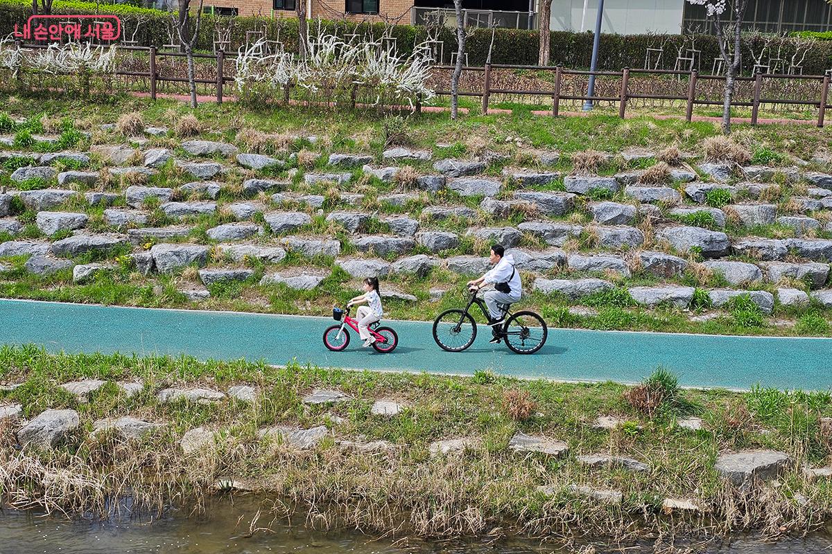 나란히 자전거를 타고 장지천 벚꽃길을 즐기는 가족들의 모습 ©이혜숙
