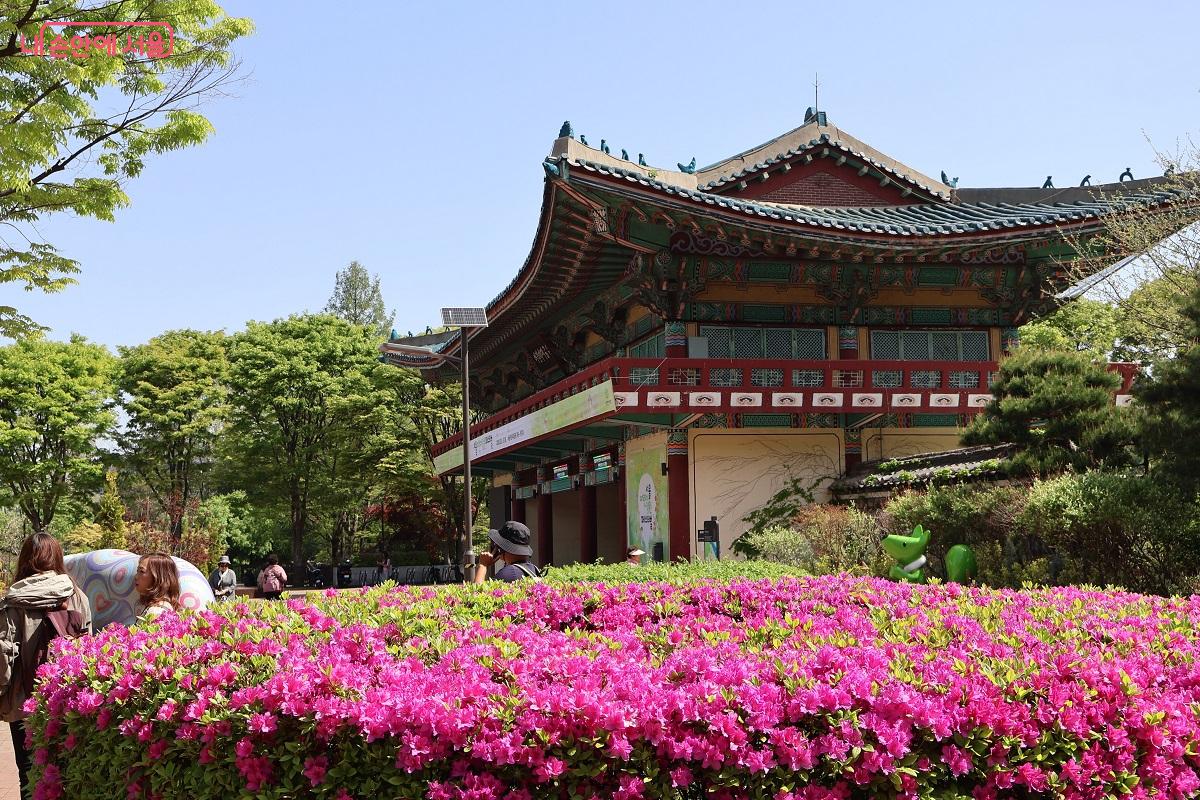 화려하게 수놓은 철쭉이 방문객을 맞이하는 서울어린이대공원 한옥 정문 입구 &copy;이봉덕