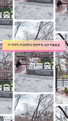 도심 한가운데 2.2km 무장애 산책길 추천! '남산 하늘숲길'