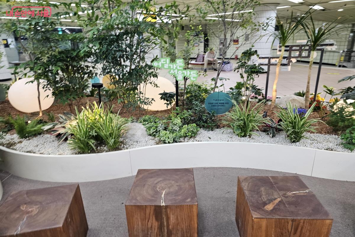 벤치 역시 나무 느낌을 살려 정말 역사 내부가 아닌 식물원에 들어온 느낌이었다. &copy;염지연