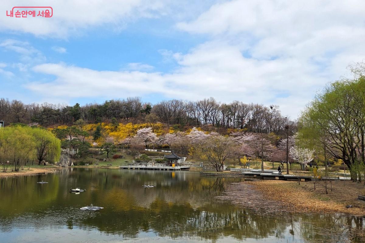 월영지 연못 주변과 공원 중심부의 벚꽃길은 대표 명소다. &copy;김미선