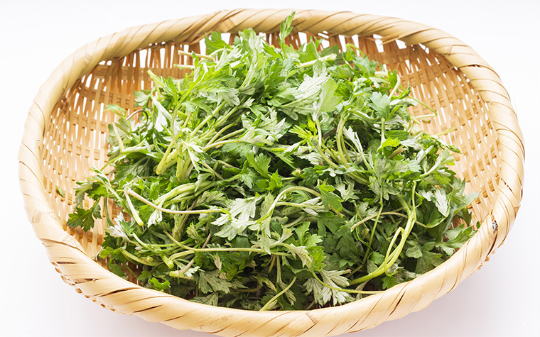 한국에선 즐겨 먹는데 외국에선 마법 재료? 쑥쑥 빠져드는 쑥 이야기