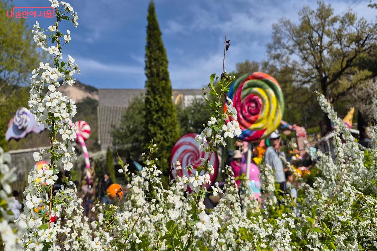 다양한 꽃들과 조형물을 만날 수 있는 불암산 힐링타운