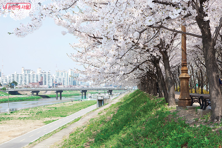 안양천 코스(서울둘레길 13~14코스) 전경