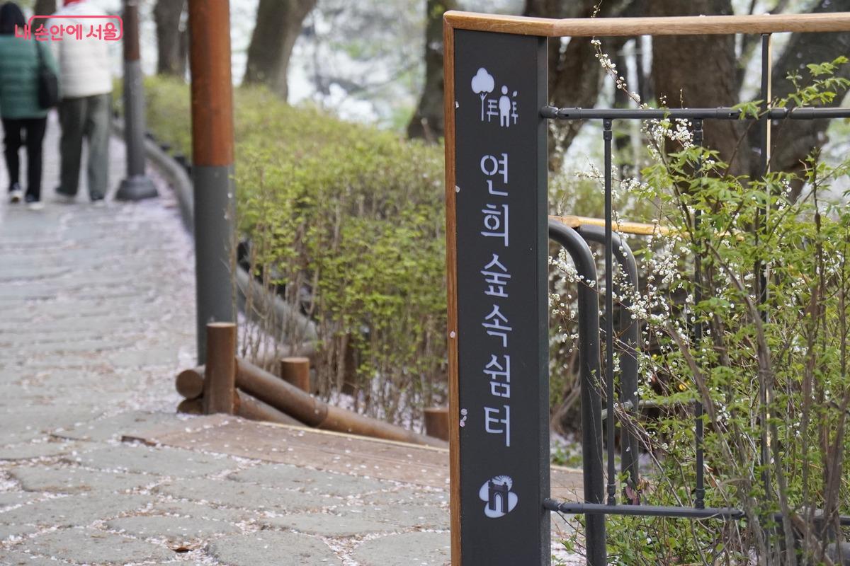 저녁에는 불빛이 켜져 더욱 따스한 분위기의 연희 숲속 쉼터 상행 동선 위 산책길이 보인다.