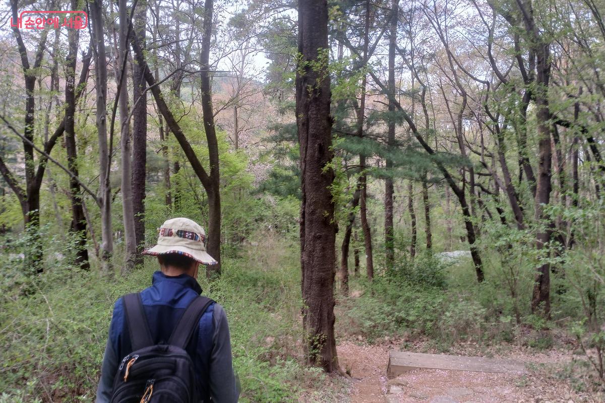 숲길등산지도사가 안전한 이동을 위해 앞에서 길을 안내하고 있다. &copy;유지민