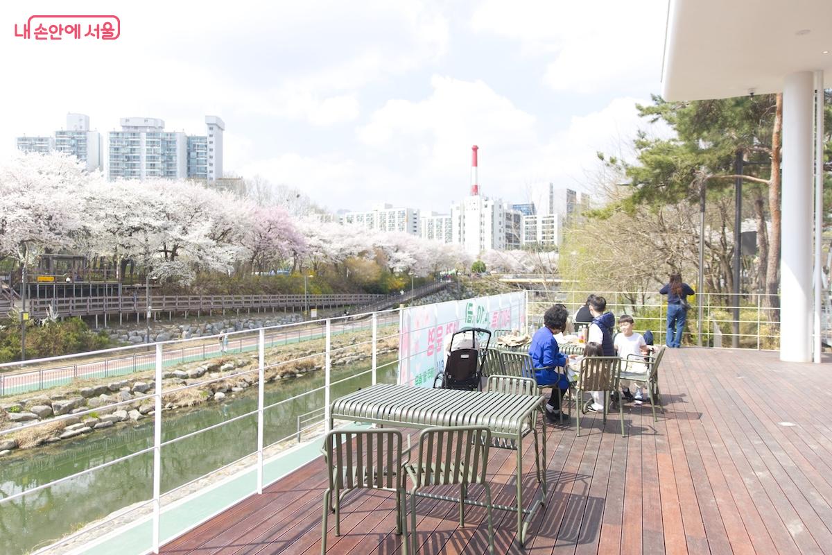 4월 10일 정식운영에 들어가는 노원우이마루와 우이천변 벚꽃의 풍경