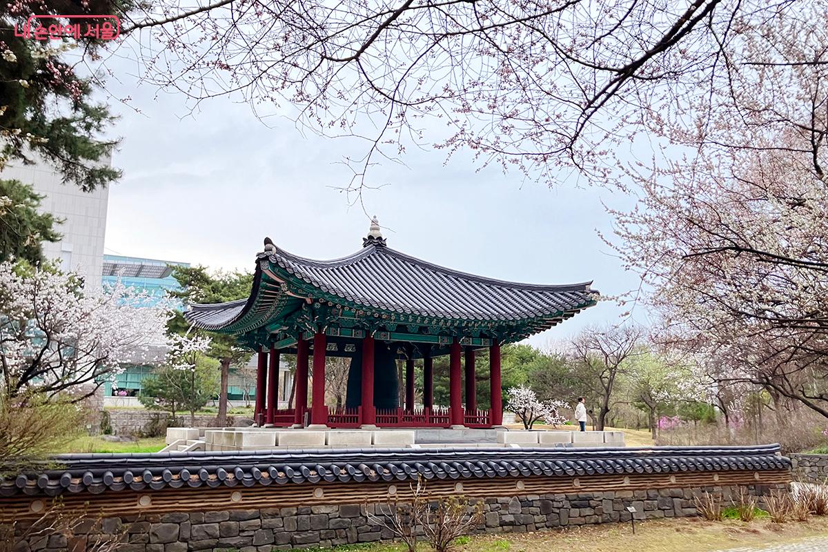 화사한 봄꽃 사이로 웅장한 자태를 뽐내는 옛 보신각종 ©이란