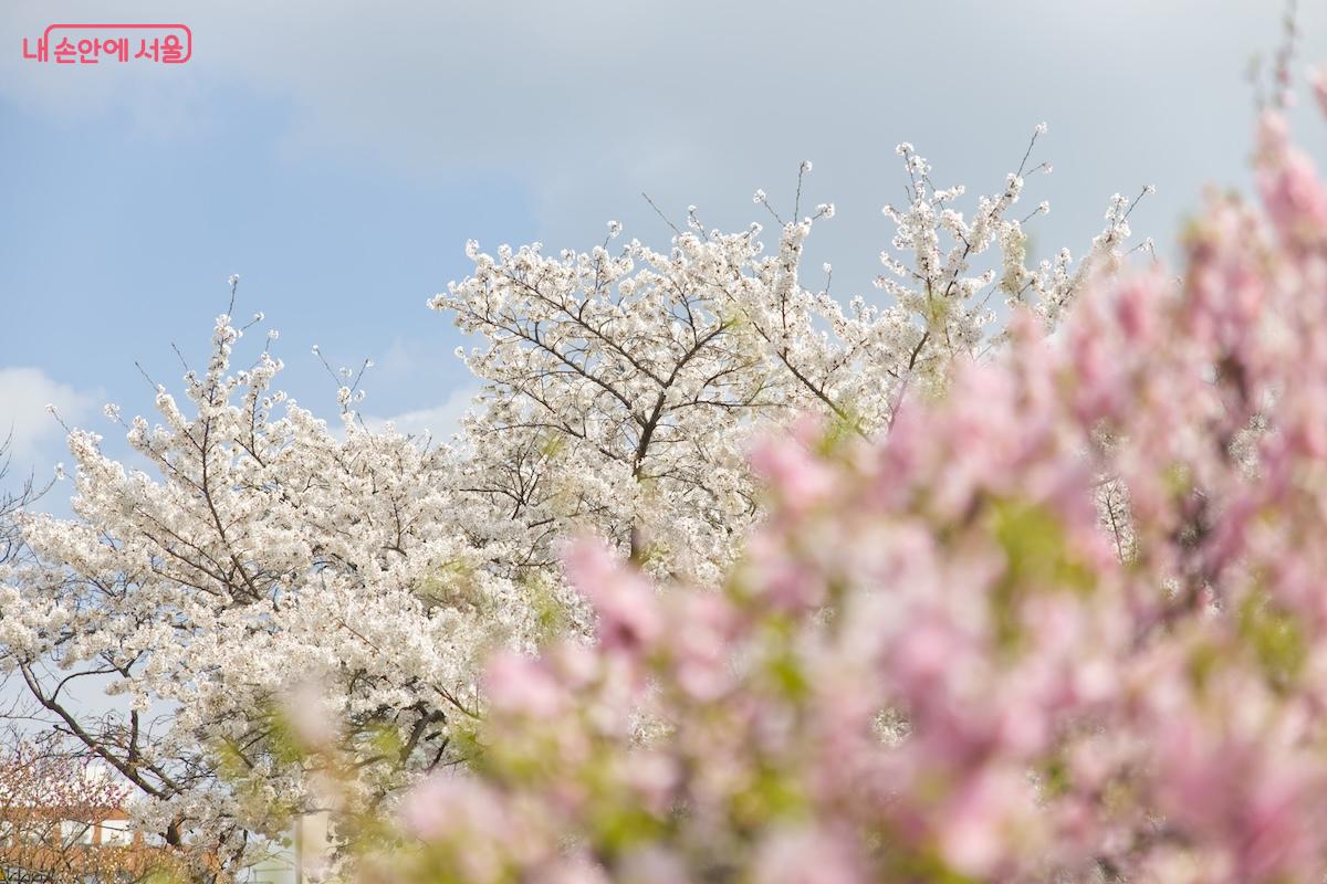 사진을 찍는 사람, 박물관을 놀러온 사람, 주변 관광객들 모두 행복했던 한 때 &copy;서지희