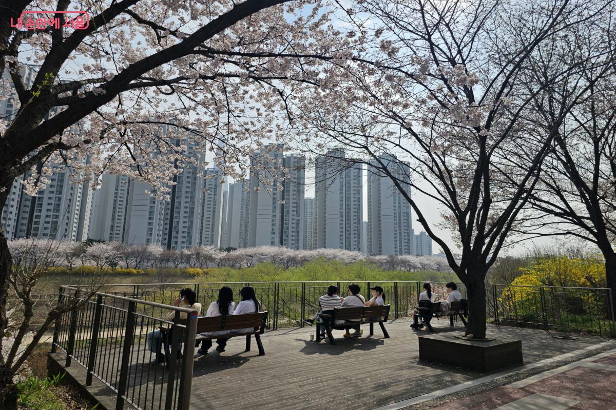 중간중간 벤치도 많이 마련되어 있어 한적하게 즐기기 좋은 명소다. &copy;염지연