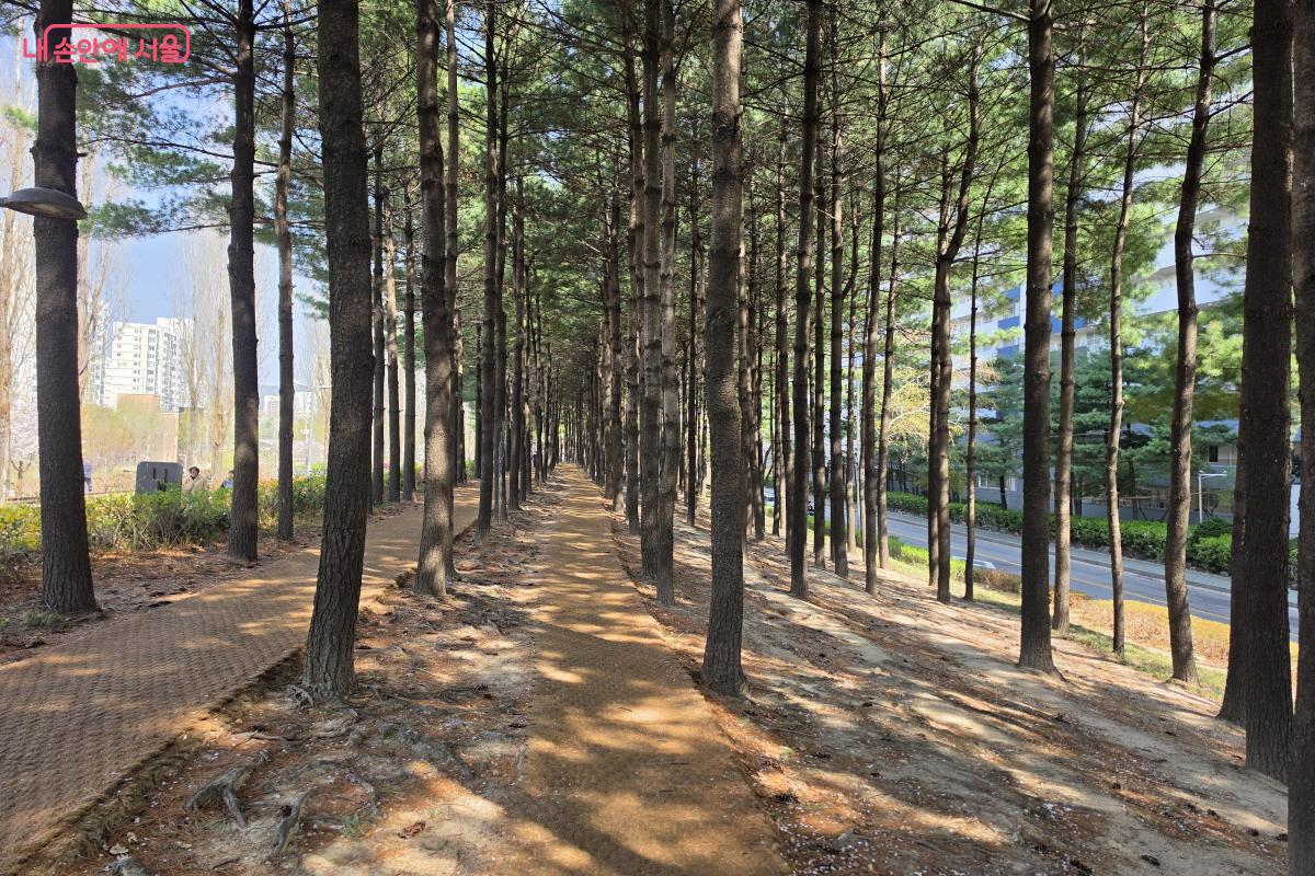 또 다른 볼거리인 도시바람숲길.