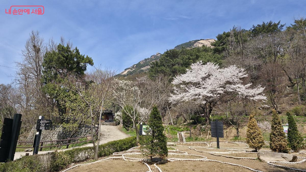 북한산성지원센터에서 백운대로 가는 길 ⓒ최용수