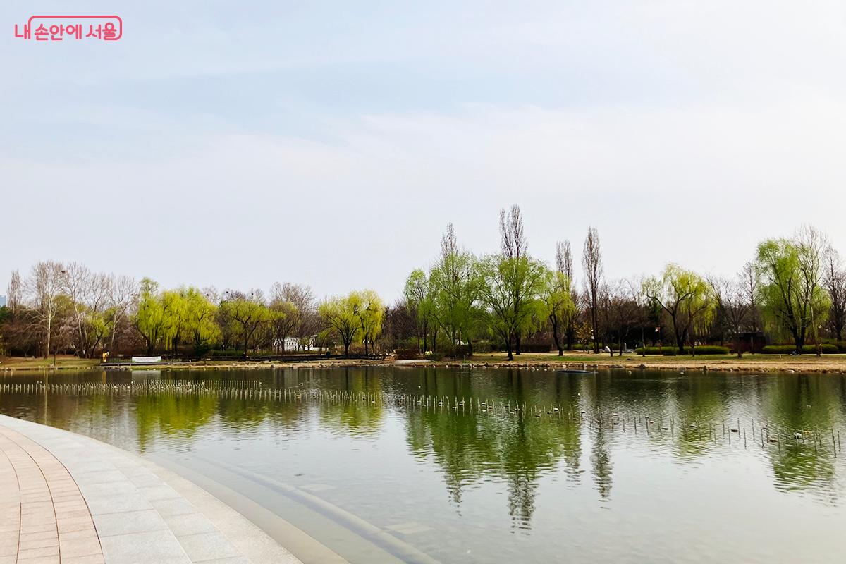 잔잔한 수면에 연둣빛 봄을 머금은 평화의 공원 난지연못 ©이란