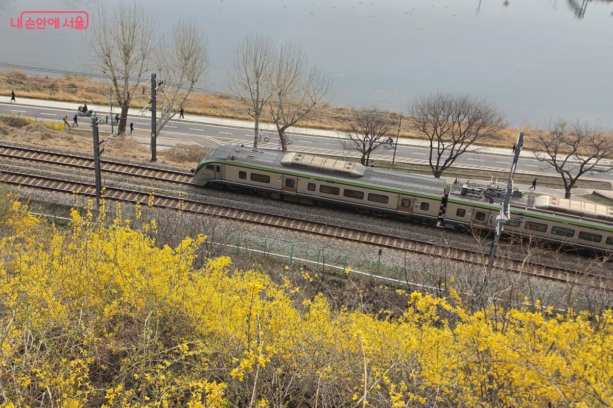 응봉산 옆으로 ITX-청춘 열차가 지나간다. ⓒ조송연