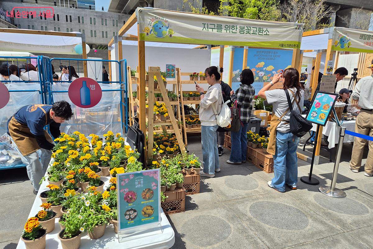 페트병과 우유팩과 '메리골드', &lsquo;팬지&rsquo; 등의 화분을 교환할 수 있었다. &copy;정향선