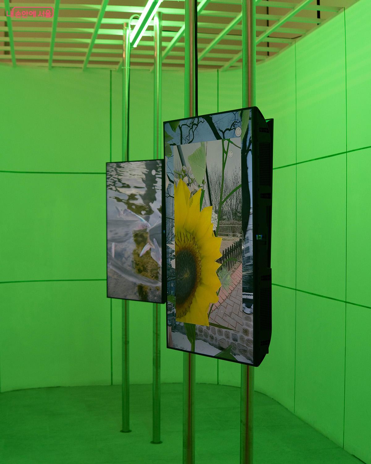 신지선 작가 '서서울피디아 AR 무빙 이미지' Ⓒ최승훈