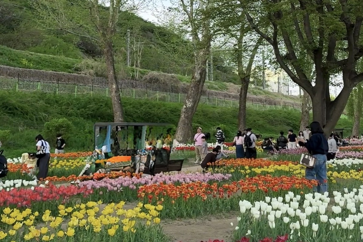 곳곳이 포토존! 서울 튤립 명소 '용비쉼터정원' 소개