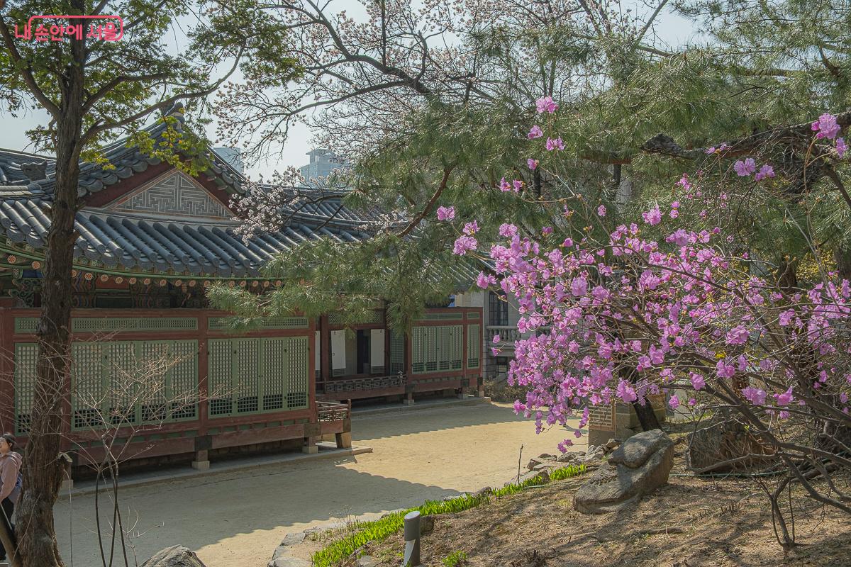 다양한 꽃과 나무들이 꽃을 피어내고 있다. &copy;김지연