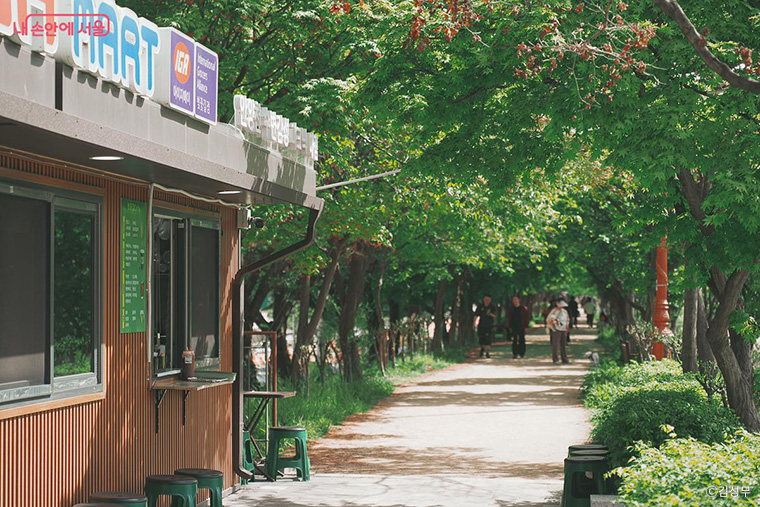 정원처방은 가장 현실적이고 지속가능한 예방 투자라고 할 수 있다. 사진은 안양천 산책로