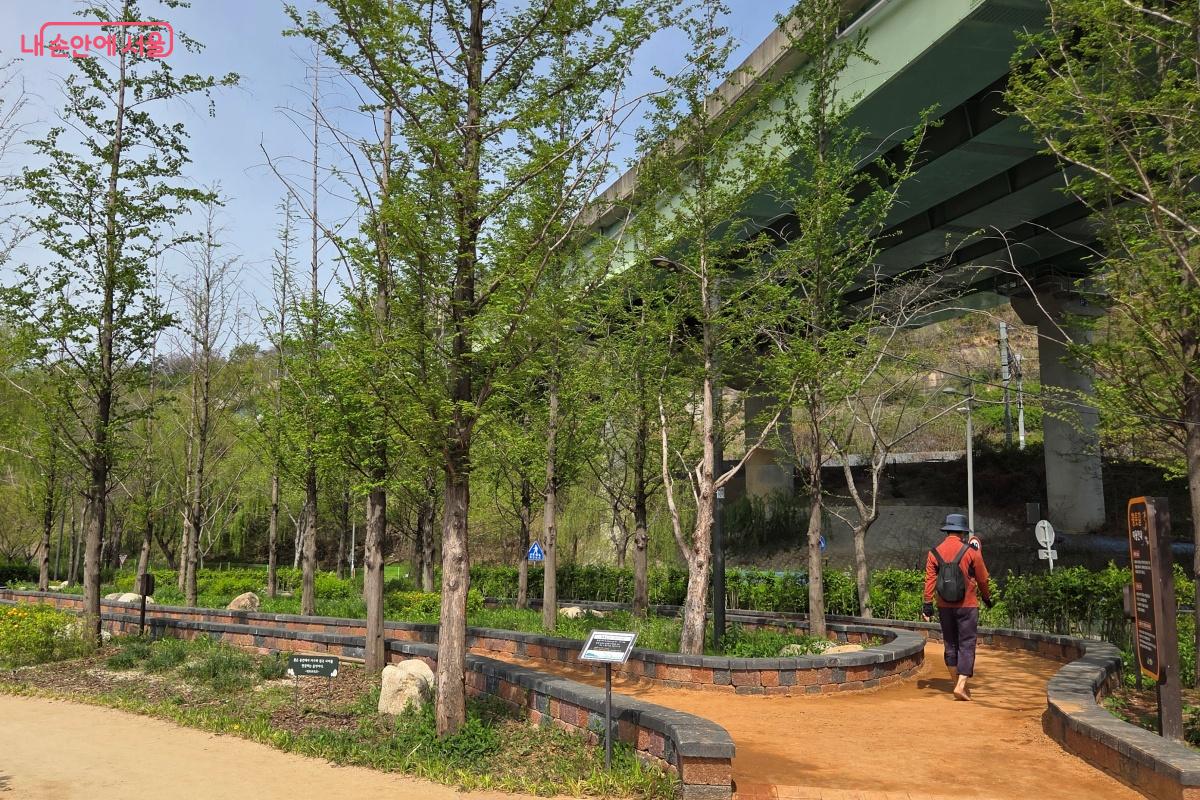 중랑천교 바로 옆에는 황톳길과 황토볼장을 조성됐다. &copy;김미선