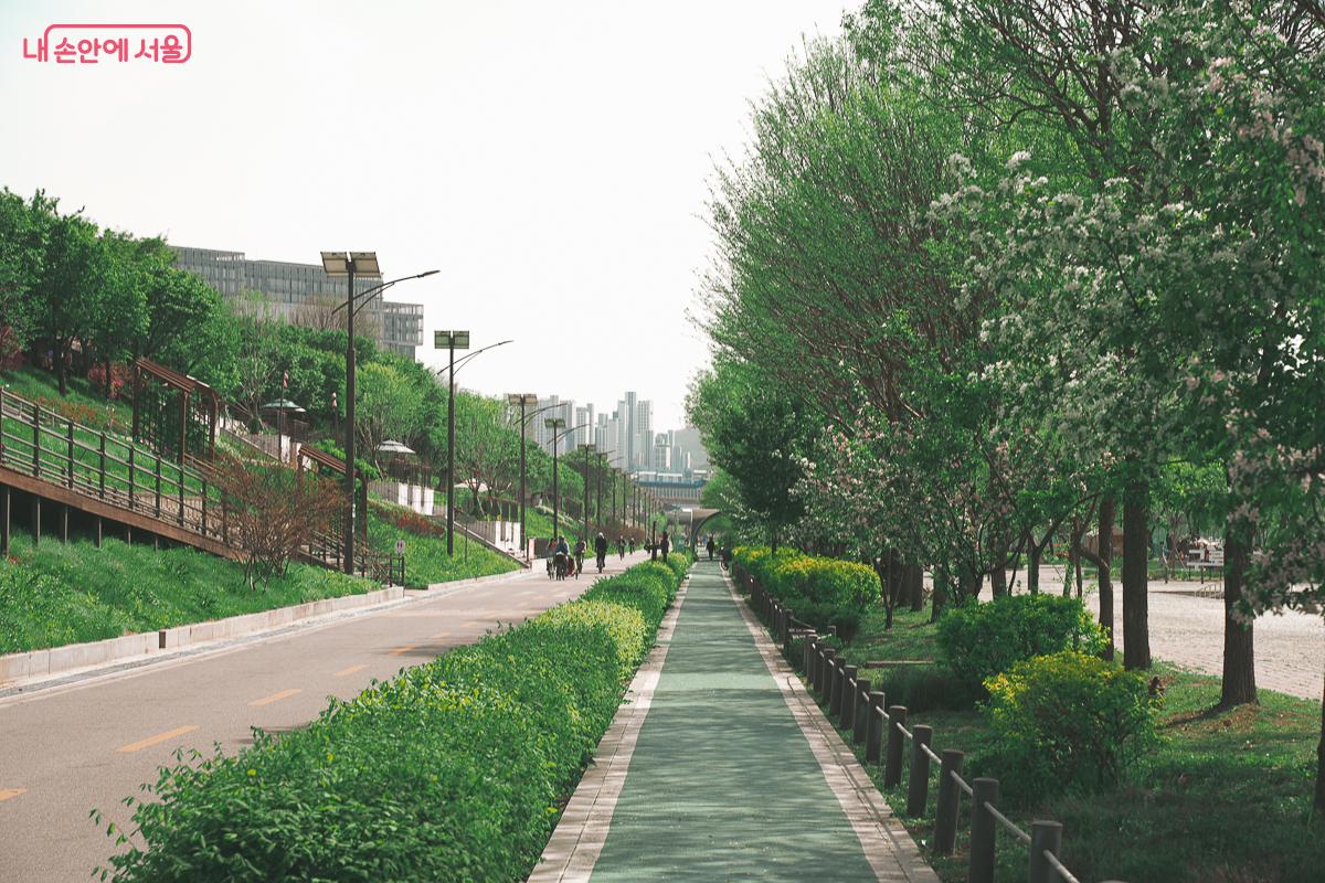 푸른 나무들과 꽃들이 만발한 보행자용 산책로와 자전거 전용 도로가 평화롭게 뻗어 있고 자전거를 타는 사람들의 뒷모습이 보이는 여유로운 풍경 &copy;김성무 