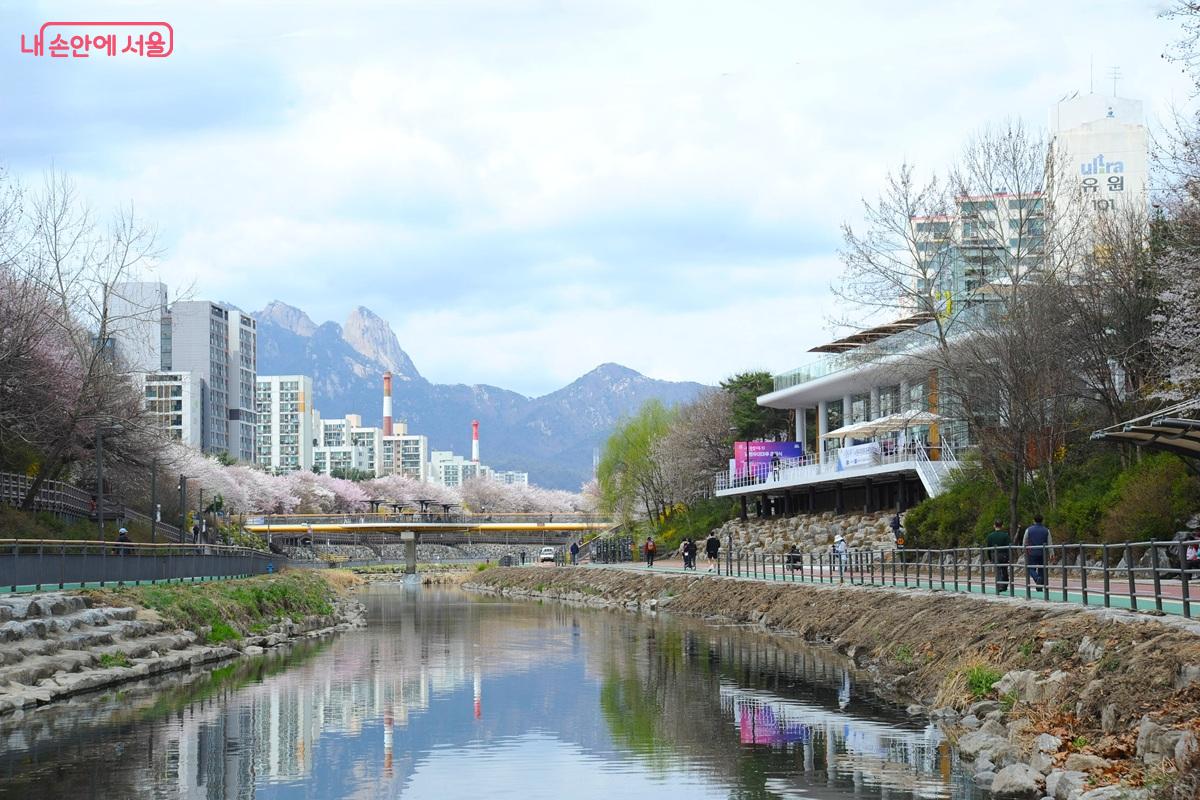 19번째 수변활력거점 노원우이마루가 우이천에 문을 열었다. ©조수봉