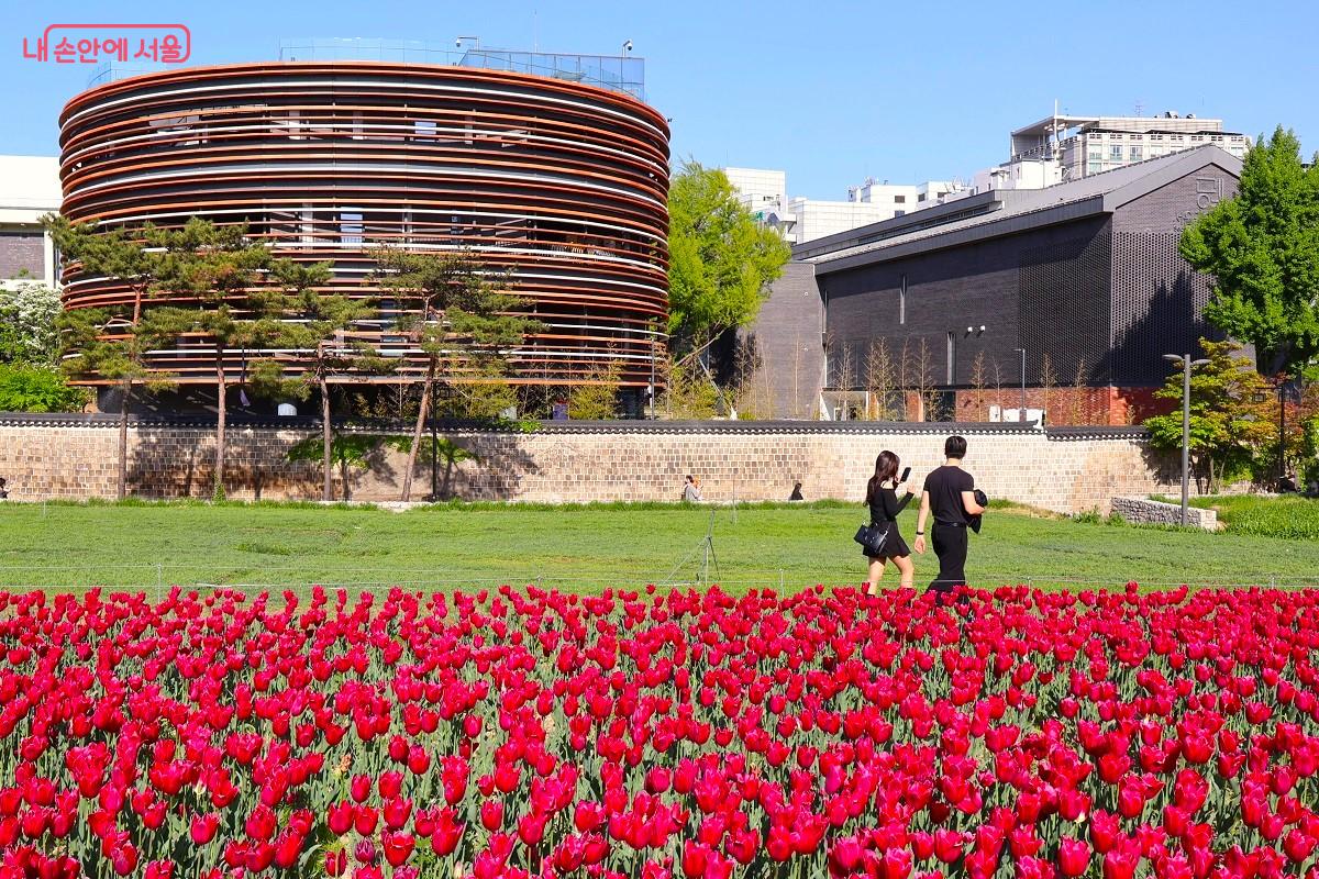 열린송현 녹지광장과 어우러진 서울공예박물관과 어린이박물관 외경 &copy;김대진 