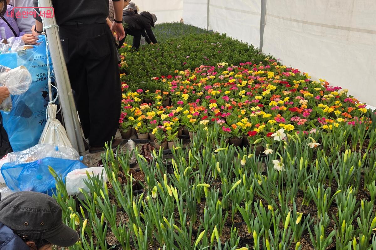 일상 속에서 한번 쓰고 버려지는 재활용품과 봄꽃을 교환했다. &copy;김미선