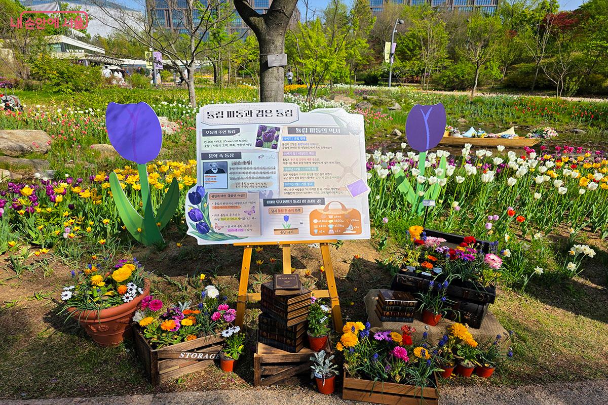 튤립 파동과 검은 튤립에 대한 이야기를 찾는 재미도 있다. &copy;이정민