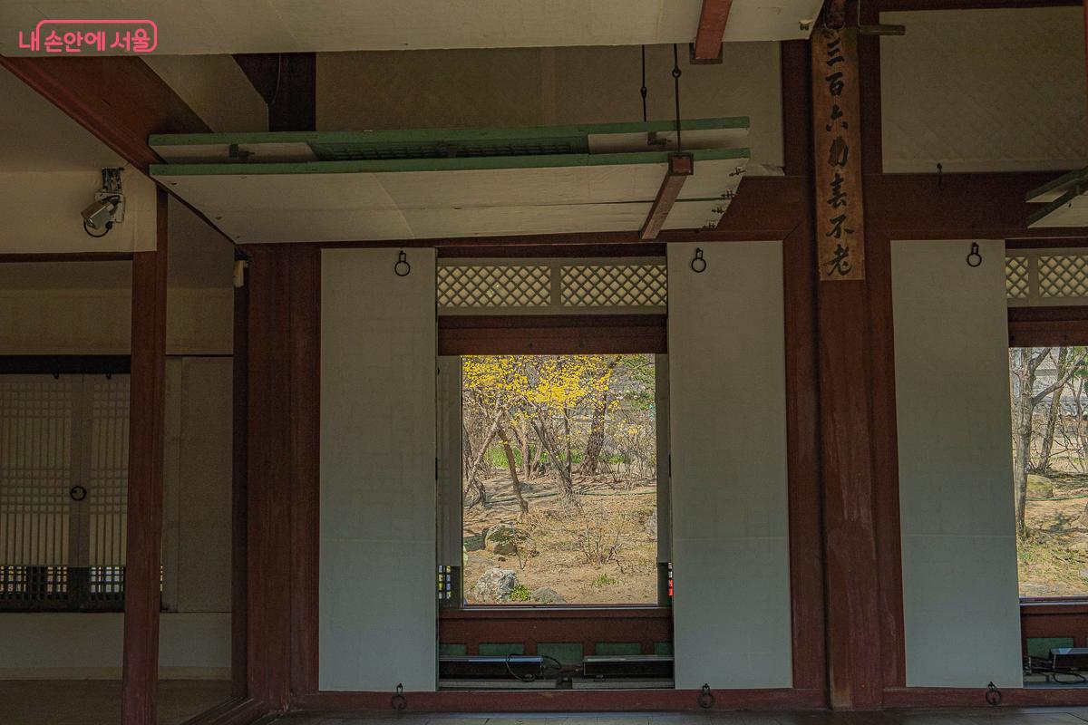 산책로 곳곳에 피어난 개나리는 공간 전체에 생기를 더한다. &copy;김지연